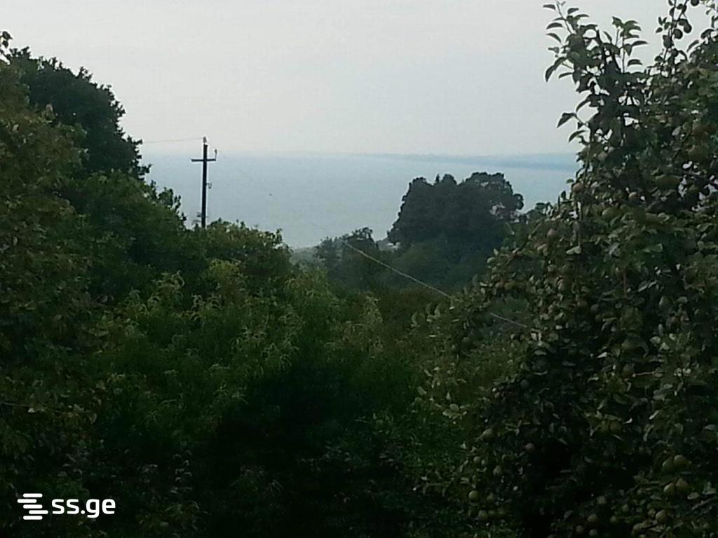 Продажа Private House в цихисдзири view 2