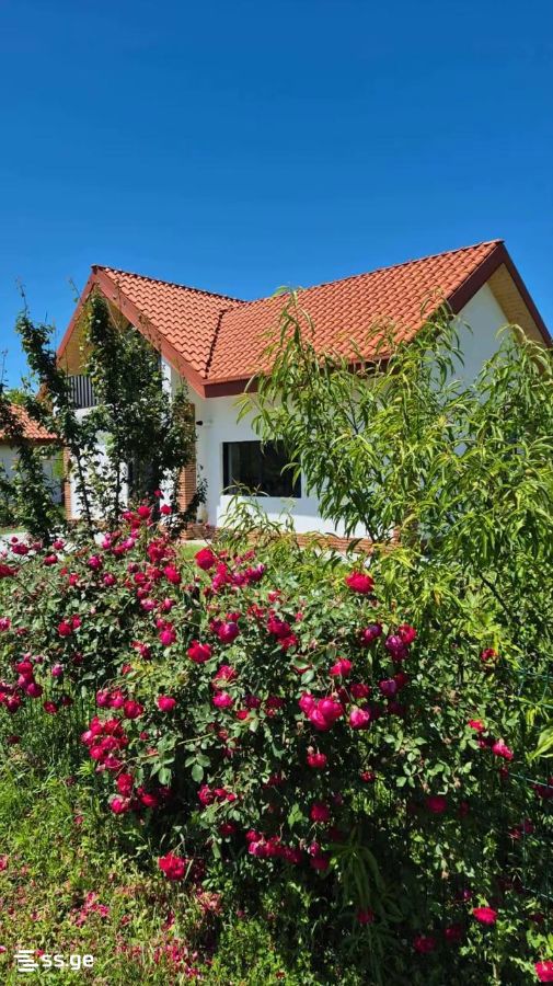 Private House For Sale. Kvareli view 8