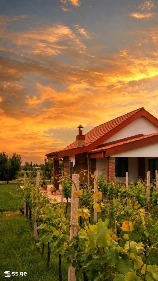 Private House For Sale. Kvareli view 5