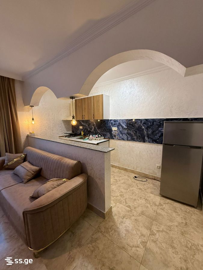 3 Room Private House Daily Rent. Batumi view 3