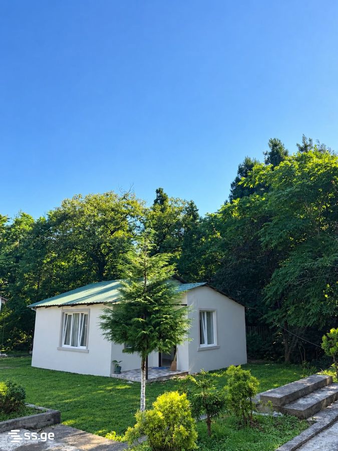 3 Room Private House Daily Rent. Batumi view 2