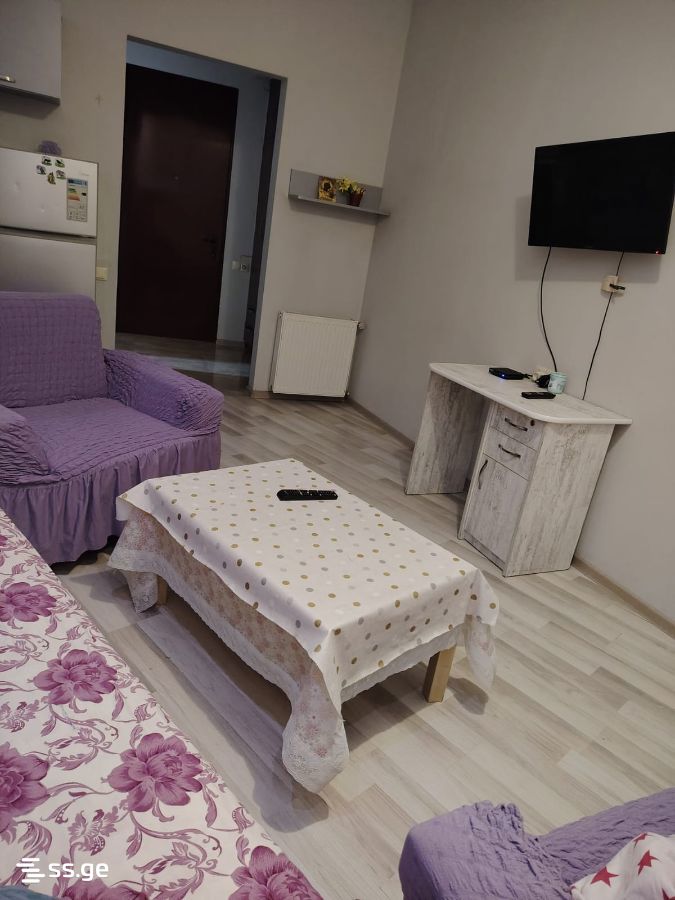 2 Room Flat Daily Rent. Didube view 2