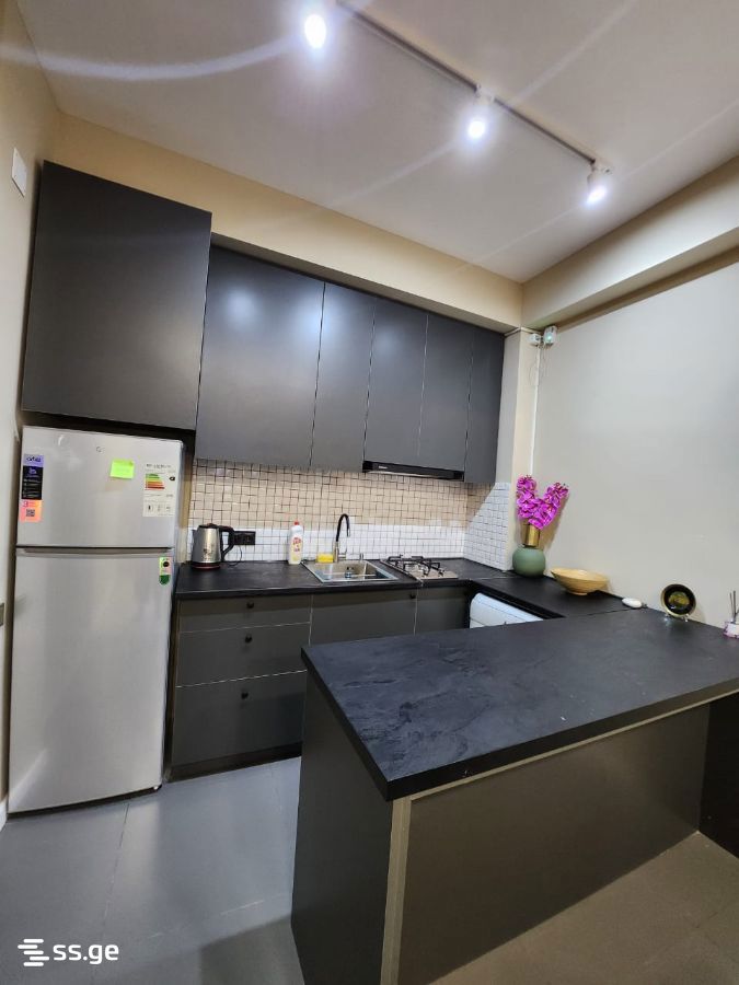 2 Room Flat Daily Rent. Didube view 2