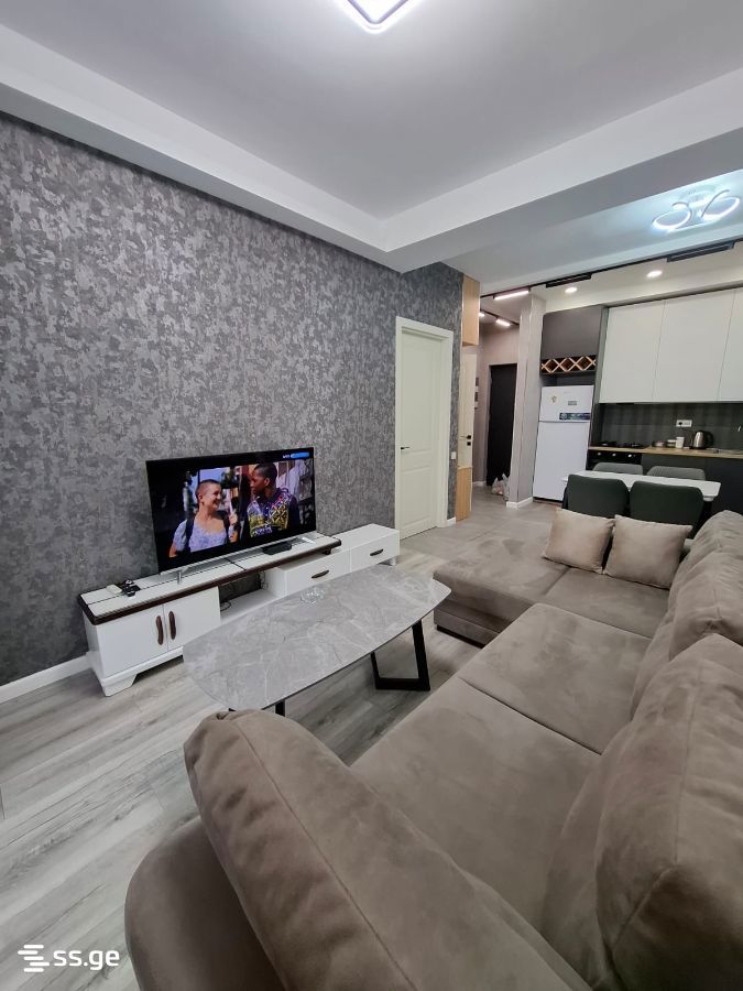 2 Room Flat Daily Rent. Didube view 1