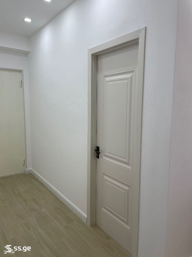 2 Room Flat For Rent. Kutaisi view 6