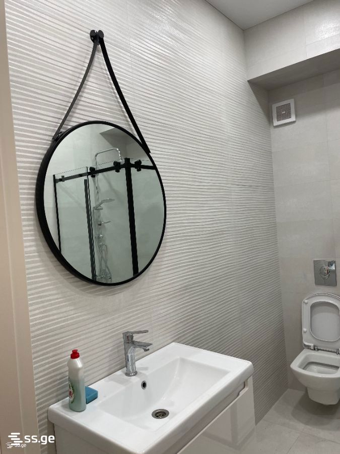 2 Room Flat For Rent. Kutaisi view 9