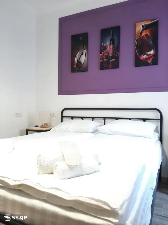 4 Room Hotel For Sale view 4