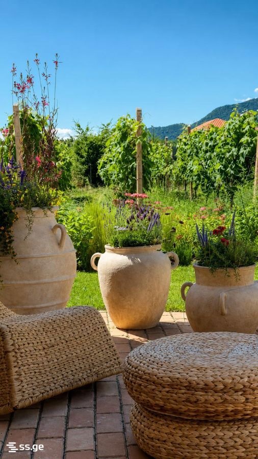 Private House For Sale. Kvareli view 7