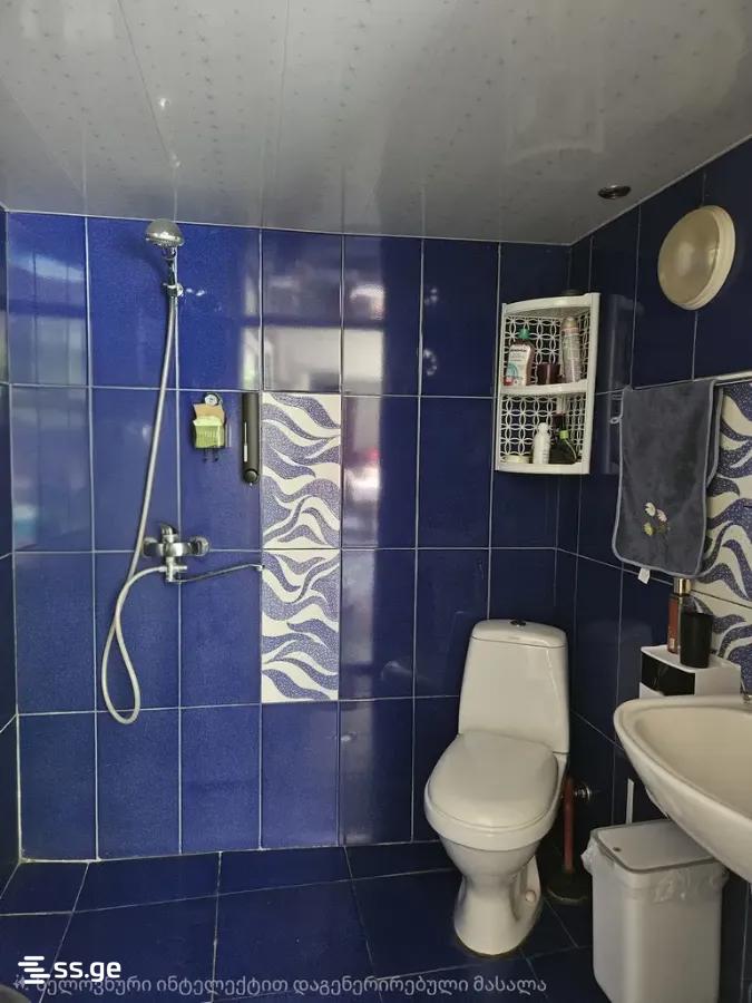 3 Room Private House For Sale view 12