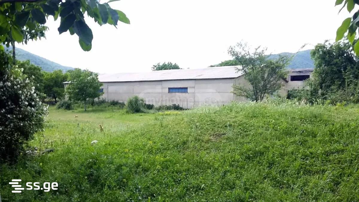 იყიდება Store-Industrial Property ბულაჩაურიში view 1