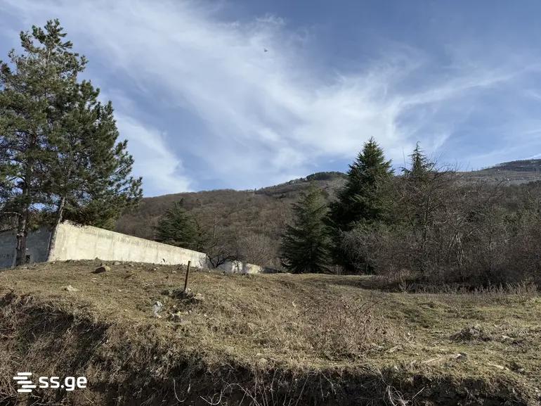 Land For Sale. Tskneti view 4