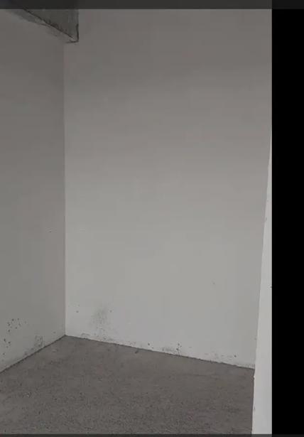 https://static.ss.ge/20260915/11_3fd60a15-7066-4f47-9f8e-5b88d12c0139_Thumb.jpg