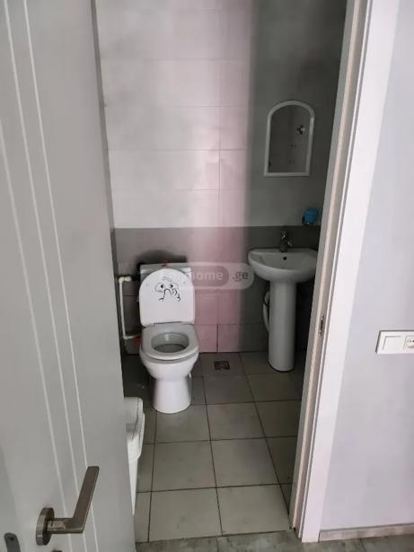 https://static.ss.ge/20260915/11_b7174632-36b6-4543-9856-eb3a4e6847e2_Thumb.jpg