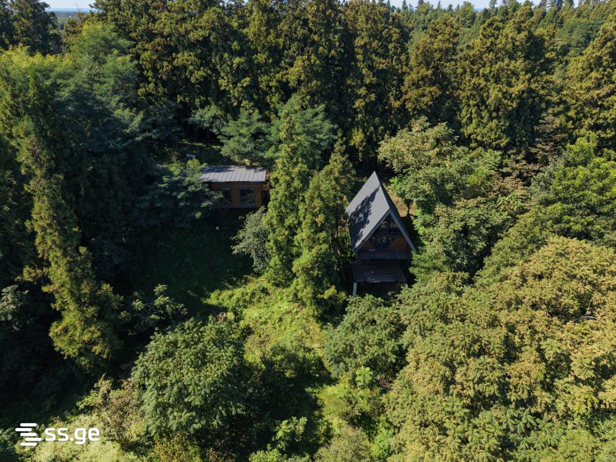 7 Room Summer Cottage For Sale view 6