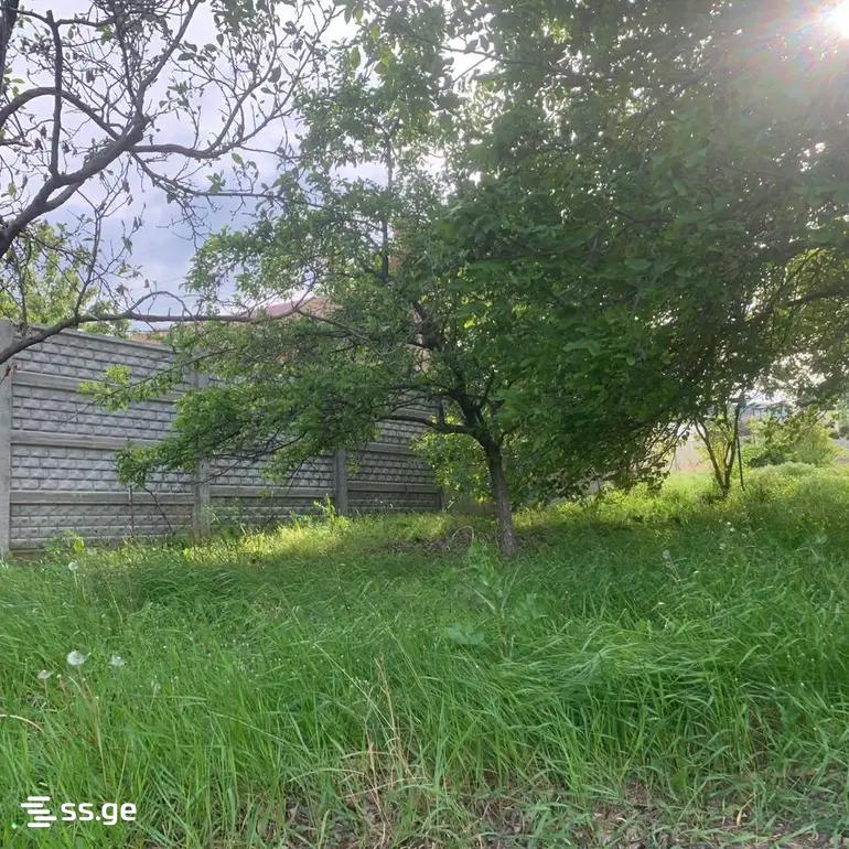 Land For Sale. Didi Digomi view 4