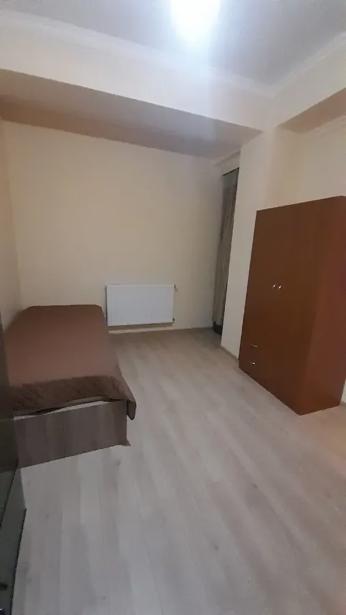 https://static.ss.ge/20260915/12_5898eabc-ee77-480a-b177-9d4705c201e3_Thumb.jpg