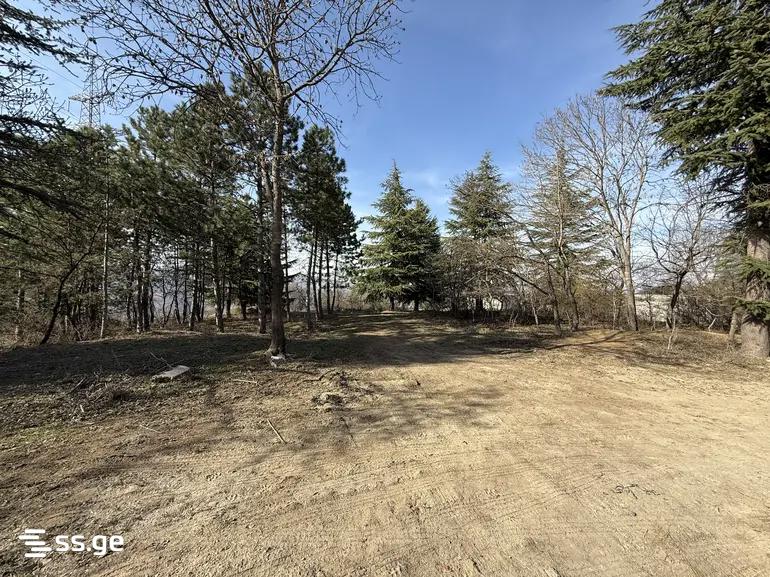 Land For Sale. Tskneti view 3
