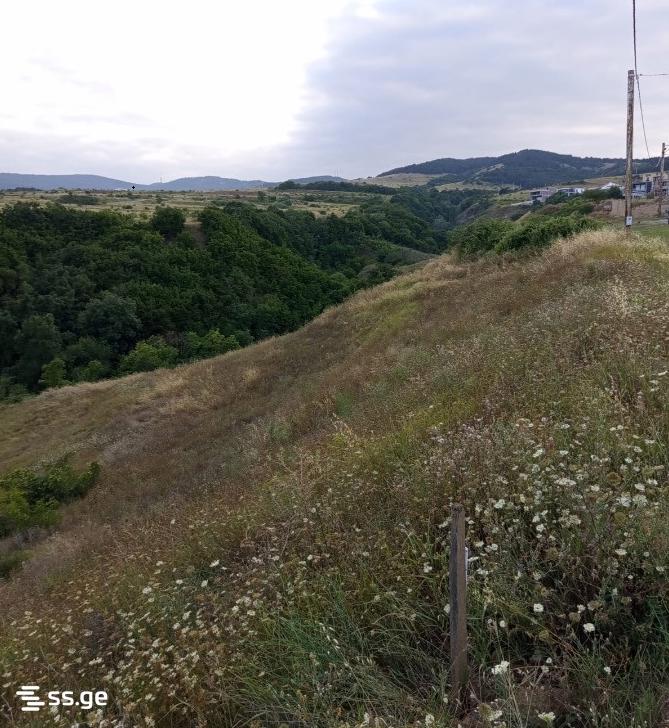 იყიდება მიწა ოქროყანაში view 3