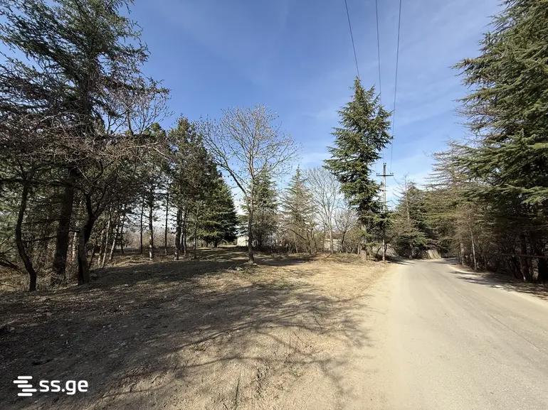 Land For Sale. Tskneti view 1