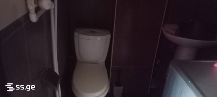 https://static.ss.ge/20260915/14_8e78285d-7445-48f0-bc9f-a78073e5c900_Thumb.jpg