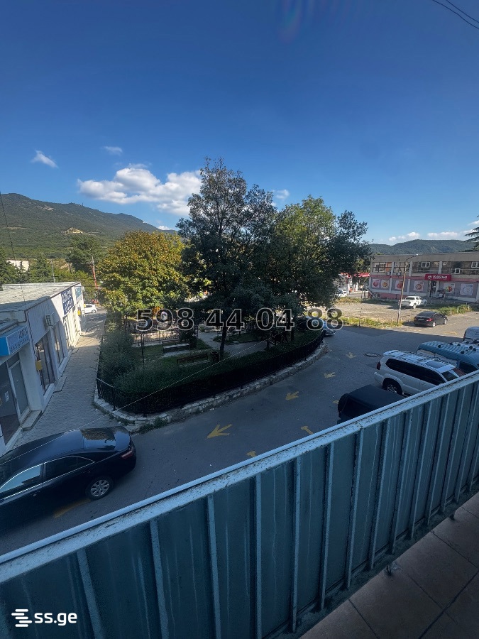 3 Room Flat For Rent. Mtskheta view 10