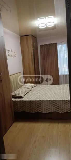 https://static.ss.ge/20260915/16_10ce5fca-ac42-4d04-a5e9-3b723dc2d183_Thumb.jpg