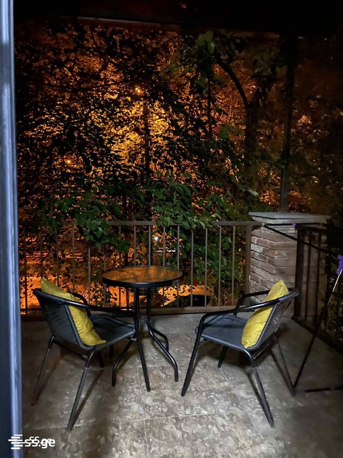 2 Room Flat Daily Rent. Chugureti view 5