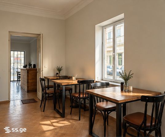 Commercial Space For Rent. Kutaisi view 3