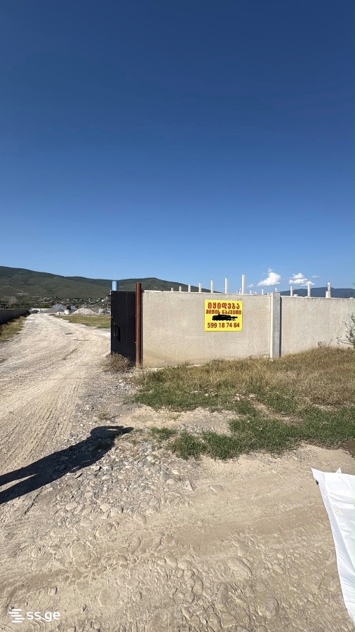 Land For Sale. Natakhtari view 8