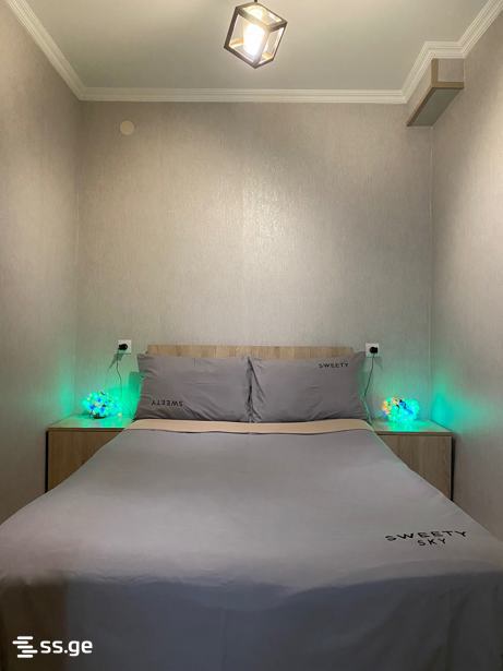 2 Room Flat Daily Rent. Chugureti view 3