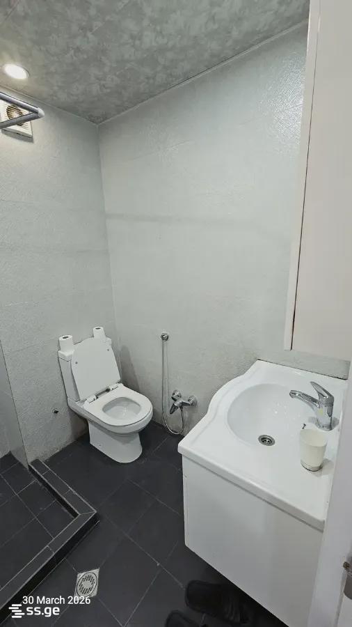 3 Room Flat For Rent. Krtsanisi view 10