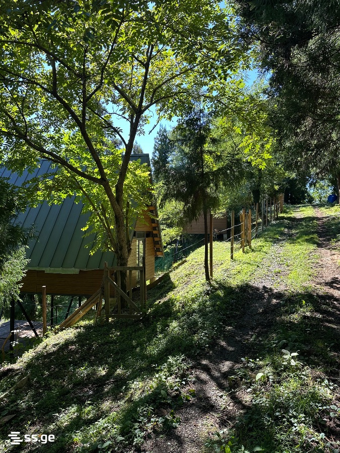 Summer Cottage For Sale. Shekvetili view 8