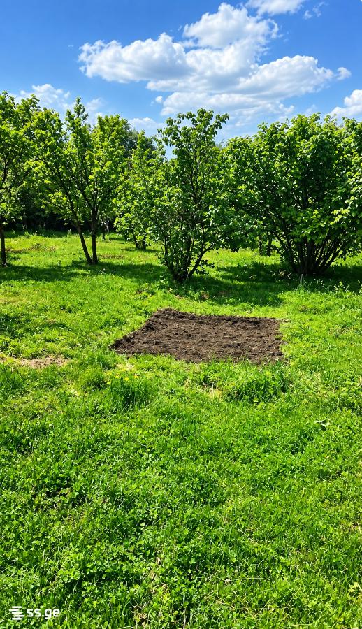 3 Room Summer Cottage For Sale view 2