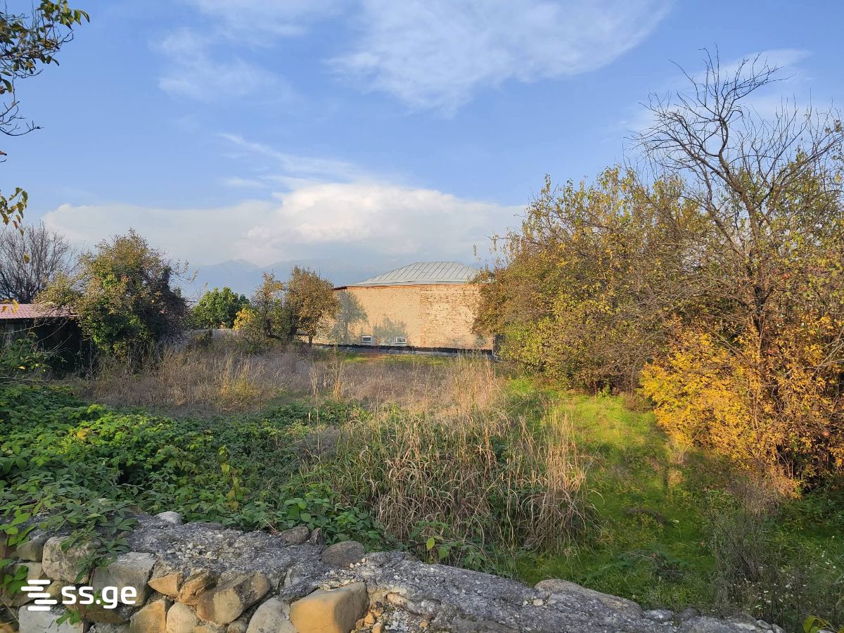 Agricultural Plot For Sale In Shashiani, In Gurjaani Municipality view 4