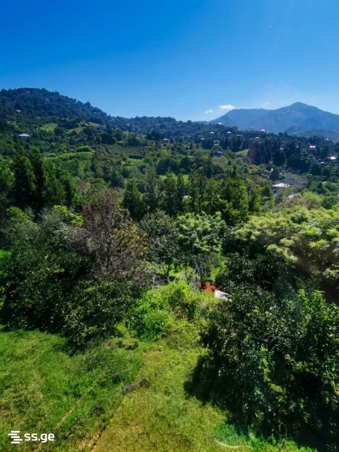 3 Room Summer Cottage For Rent. Chaqvi view 5