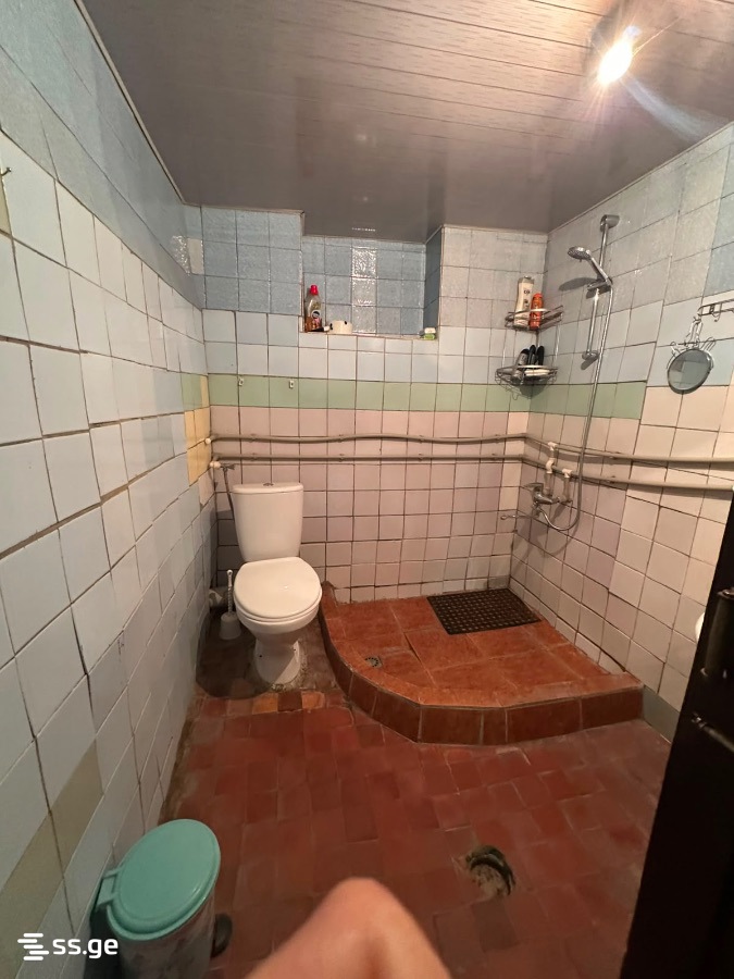 6 Room Private House For Rent. Telavi view 15