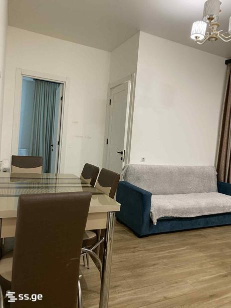2 Room Flat Daily Rent. Chugureti view 1