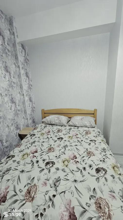 3 Room Flat For Rent. Krtsanisi view 9
