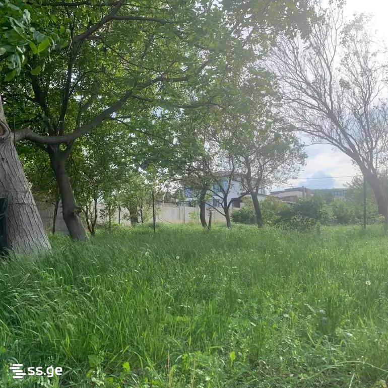 Land For Sale. Didi Digomi view 9