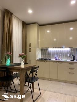 2 Room Flat Daily Rent. Chugureti view 2