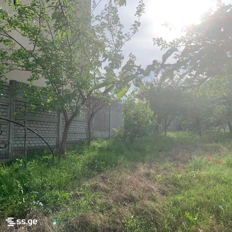Land For Sale. Didi Digomi view 5