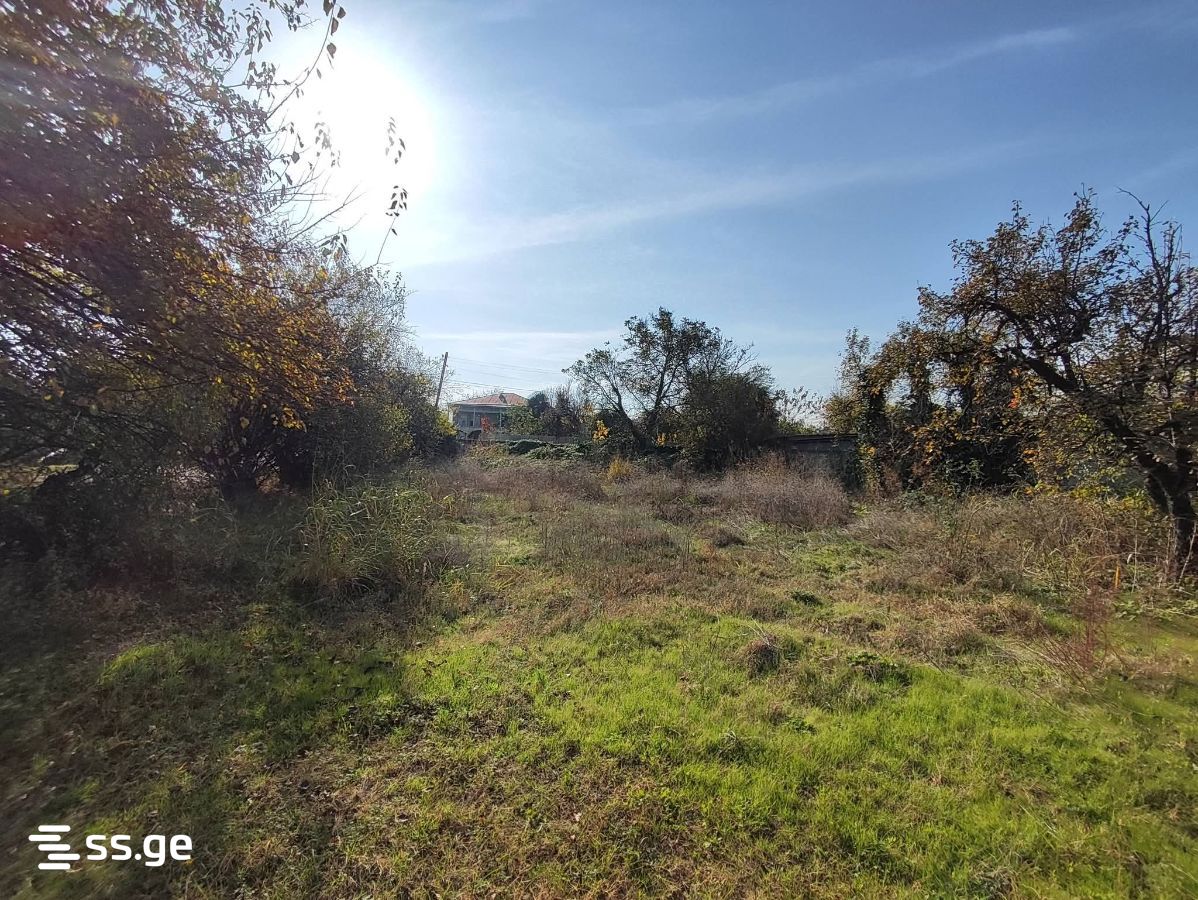 Agricultural Plot For Sale In Shashiani, In Gurjaani Municipality view 6