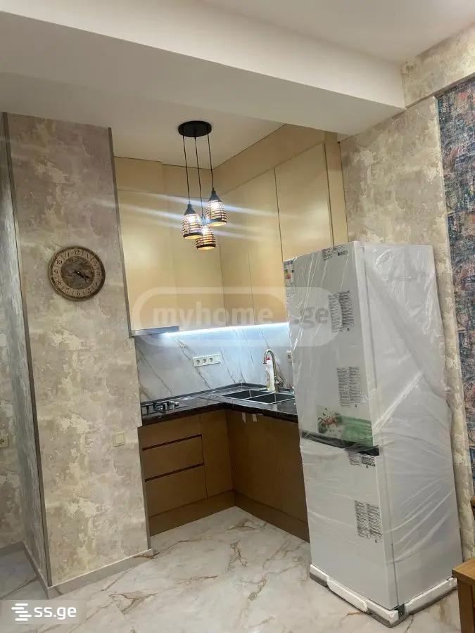 2 Room Flat For Rent. Krtsanisi view 7