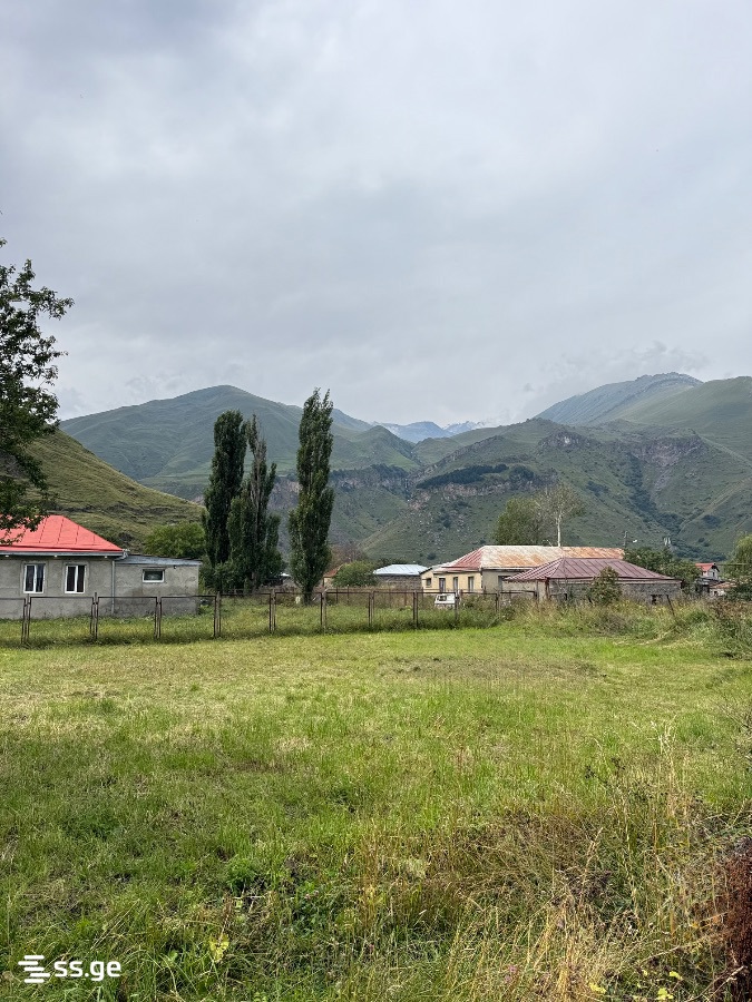 4 Room Private House Daily Rent. Kazbegi view 15