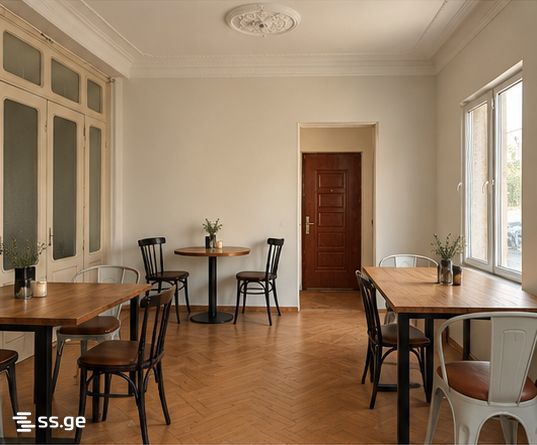 Commercial Space For Rent. Kutaisi view 2