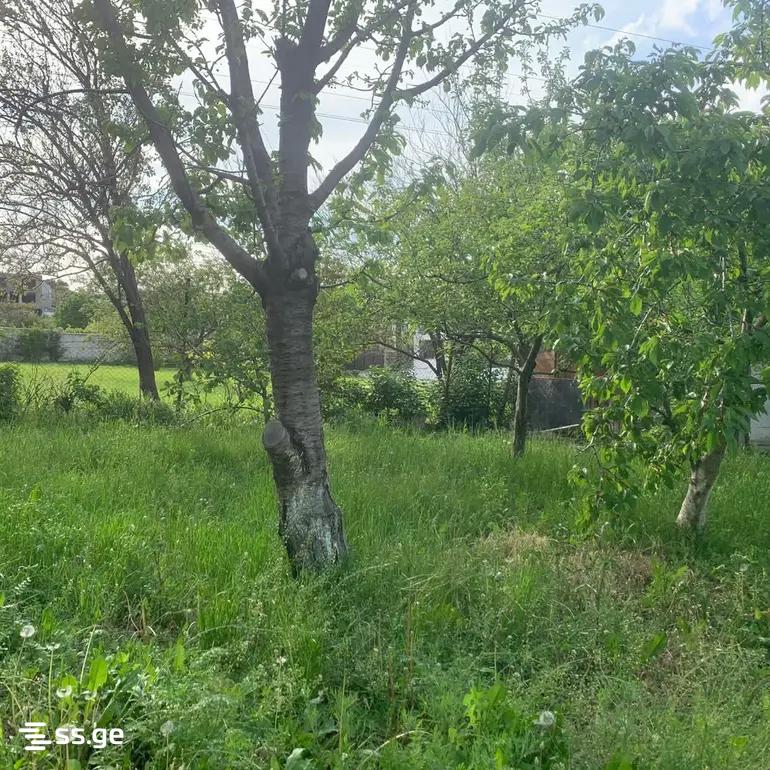 Land For Sale. Didi Digomi view 12