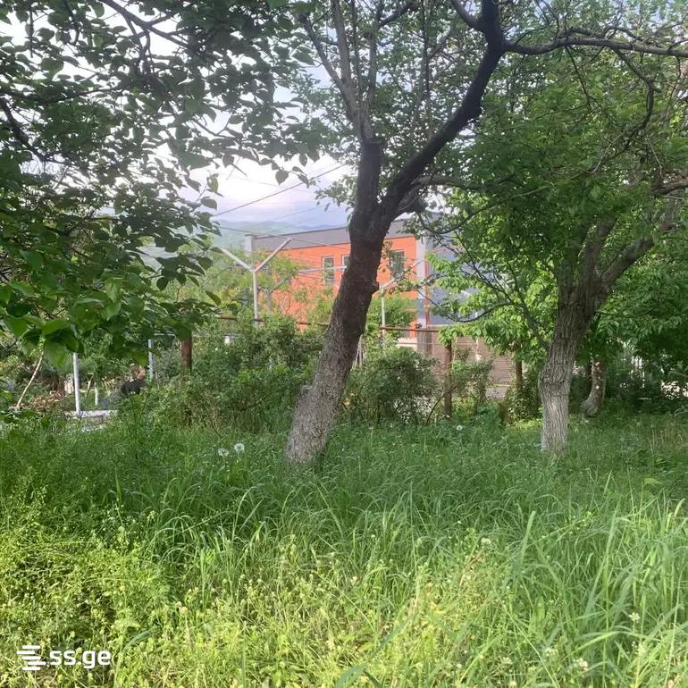 Land For Sale. Didi Digomi view 10