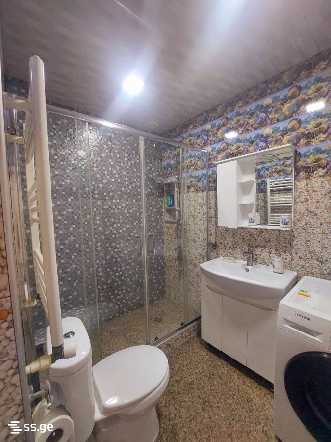 3 Room Flat For Rent. Rustavi view 10