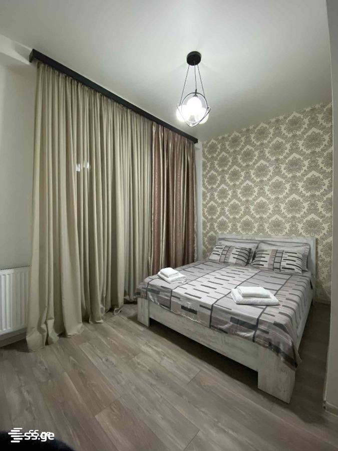 2 Room Flat Daily Rent. Chugureti view 2