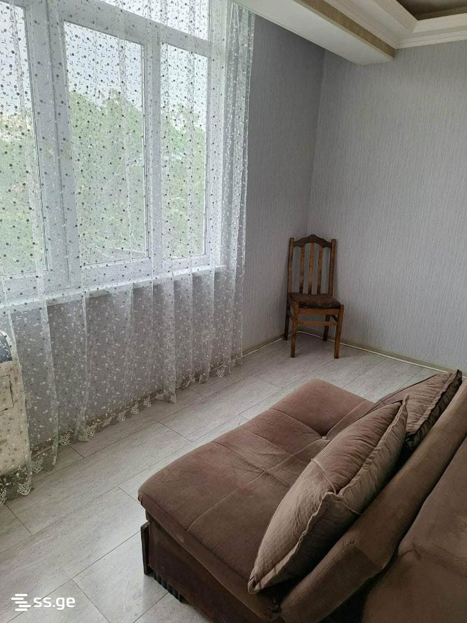 2 Room Flat For Rent. Rustavi view 8